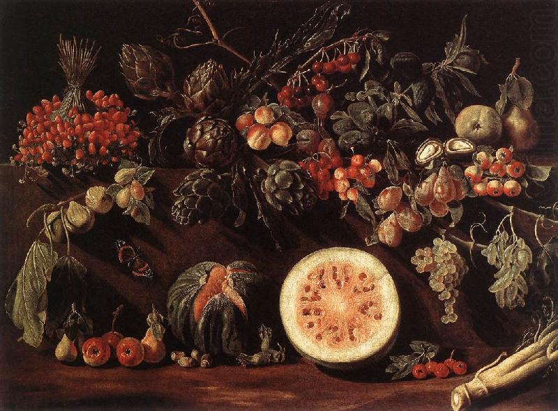 BONZI, Pietro Paolo Fruit, Vegetables and a Butterfly china oil painting image